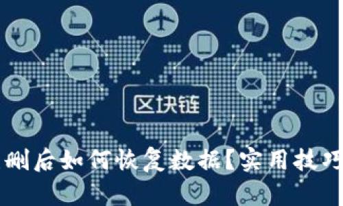 TPWallet误删后如何恢复数据？实用技巧与应对方案