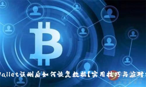TPWallet误删后如何恢复数据？实用技巧与应对方案